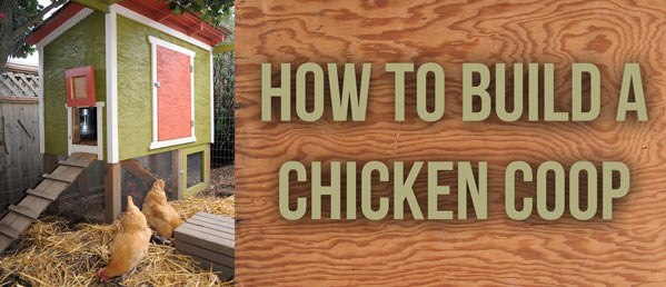 How To Build A Chicken Coop pricing